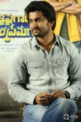 Nani Interview About Krishna Gadi Veera Prema Gaadha